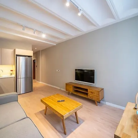 Historic 1 Bedroom Galata Apt-heart Of Kuledibi 6 Istanbulská provincie