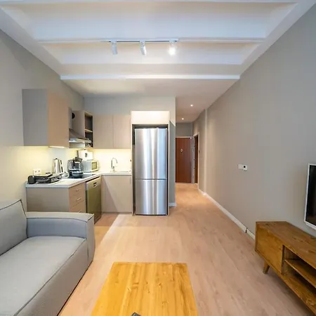 Historic 1 Bedroom Galata Apt-heart Of Kuledibi 6 Apartament
