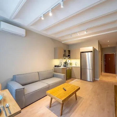 Historic 1 Bedroom Galata Apt-heart Of Kuledibi 6 *